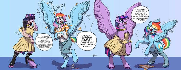 Part of a Commission for Questforhorny